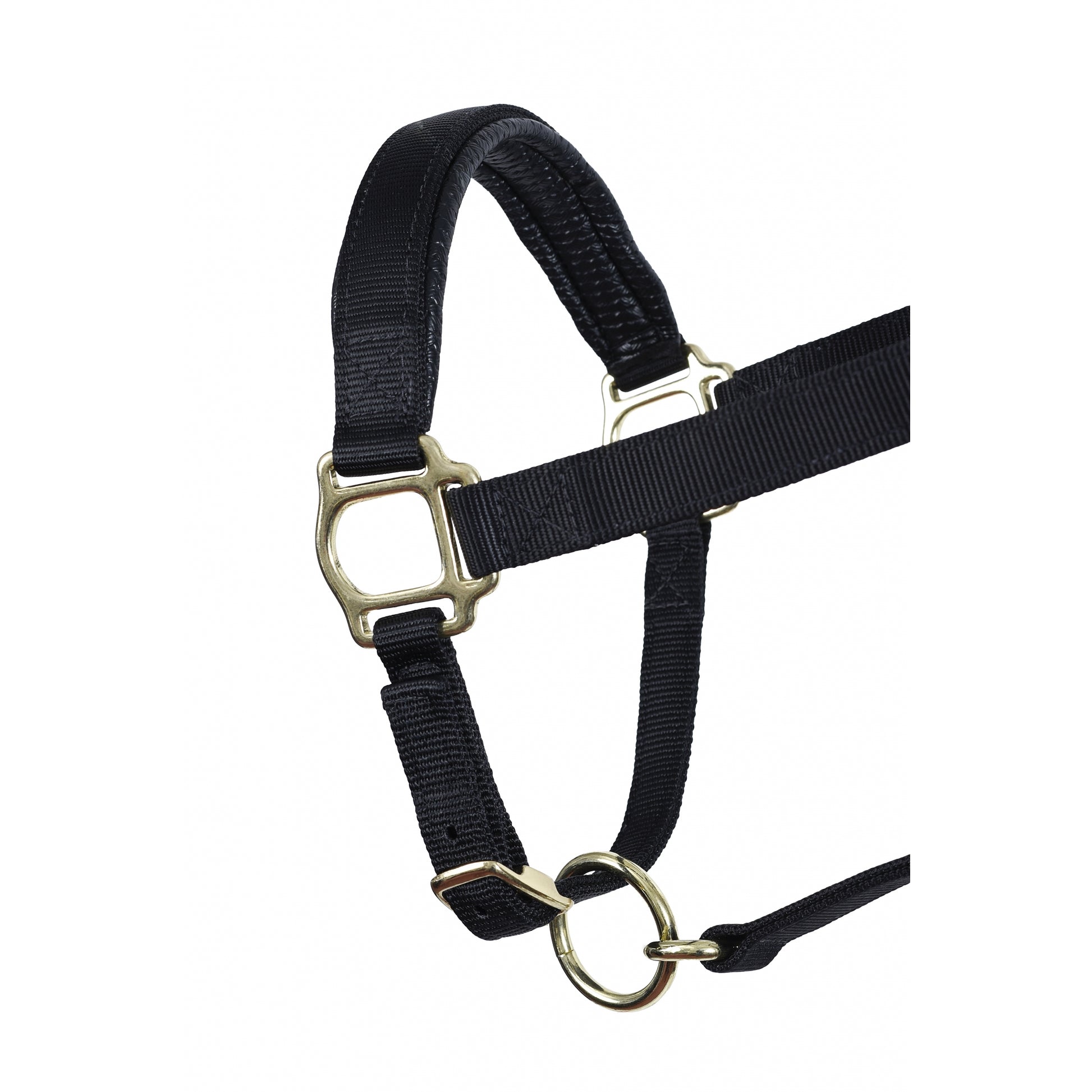 Perri's Neoprene/Nylon Halter