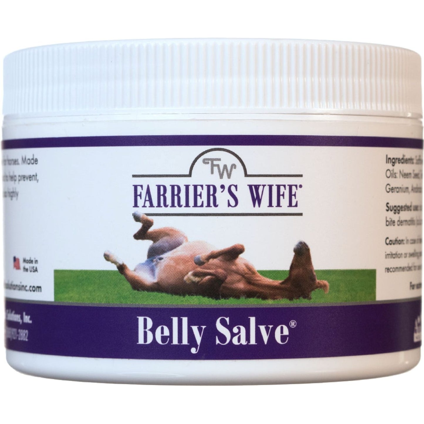 4-511729.jpg