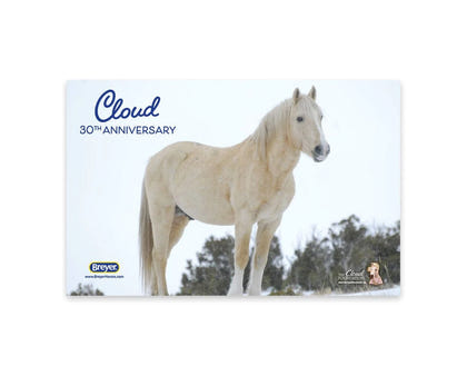 Breyer Cloud: 30th Anniversary Edition - Wild Stallion of the Rockies