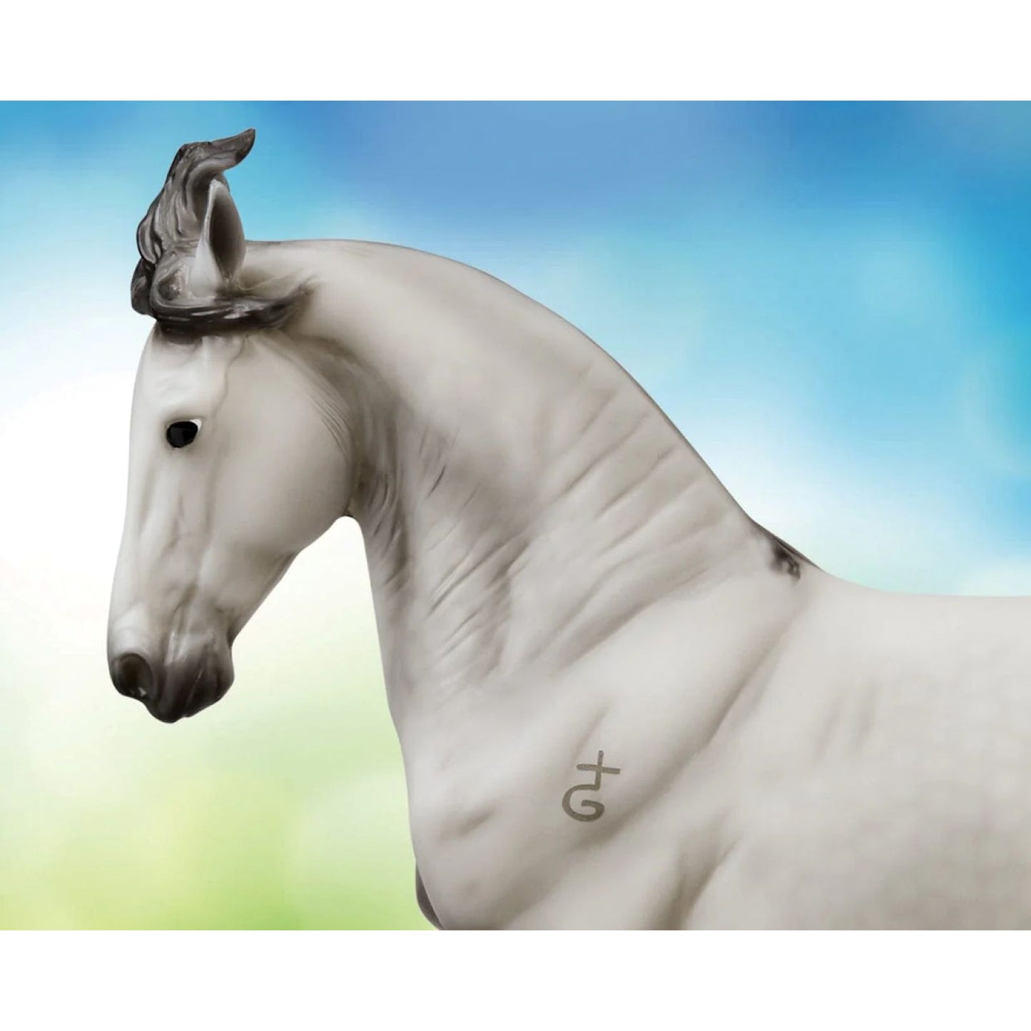 4-512821-03.jpg