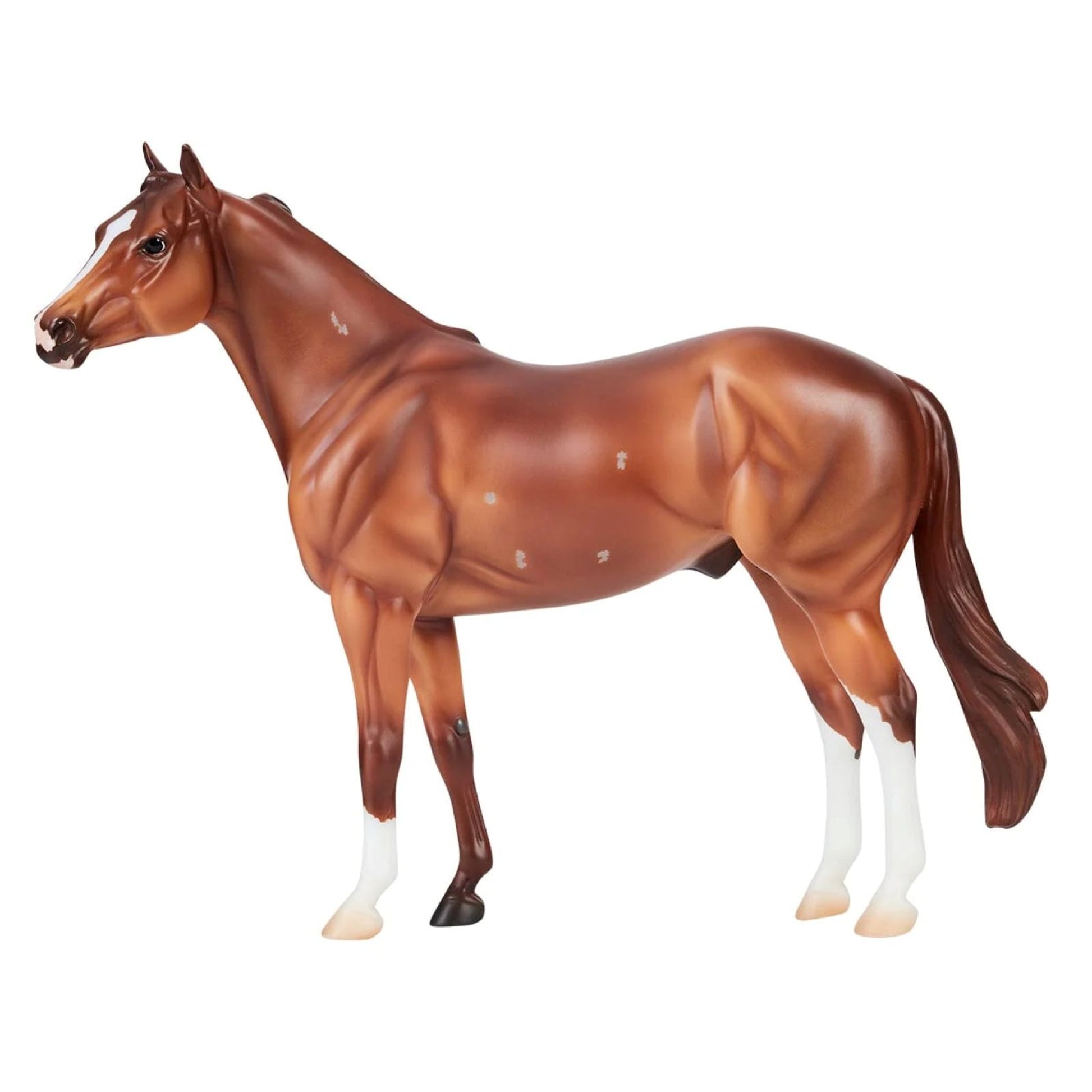 Breyer Apollitical Jess