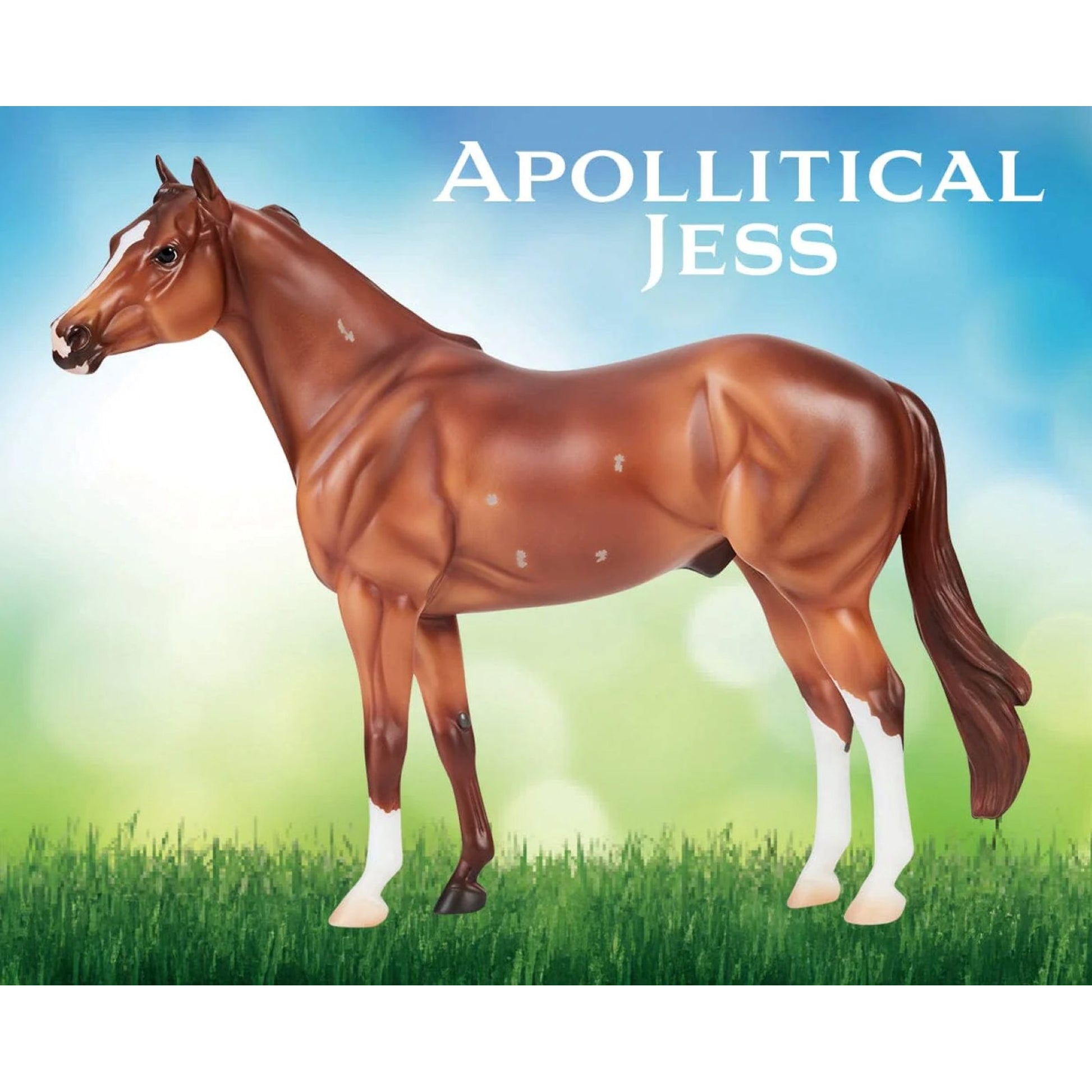 Breyer Apollitical Jess