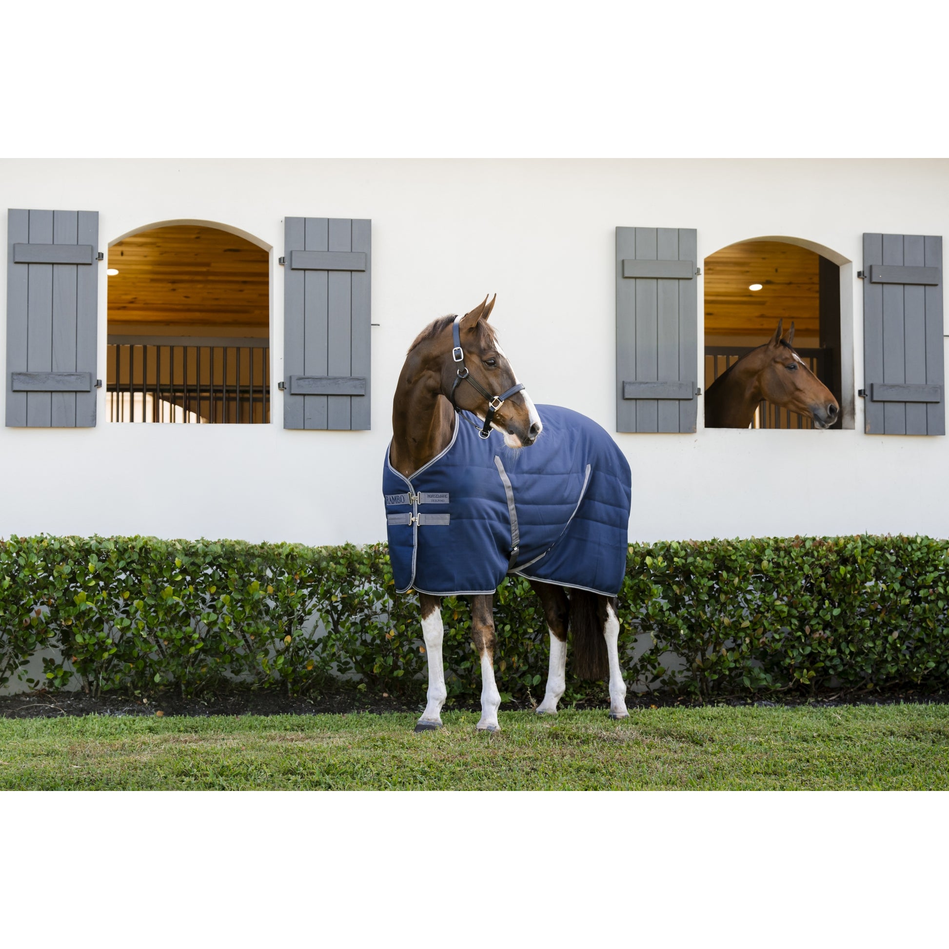 Rambo Stable Blanket (400g Heavy)