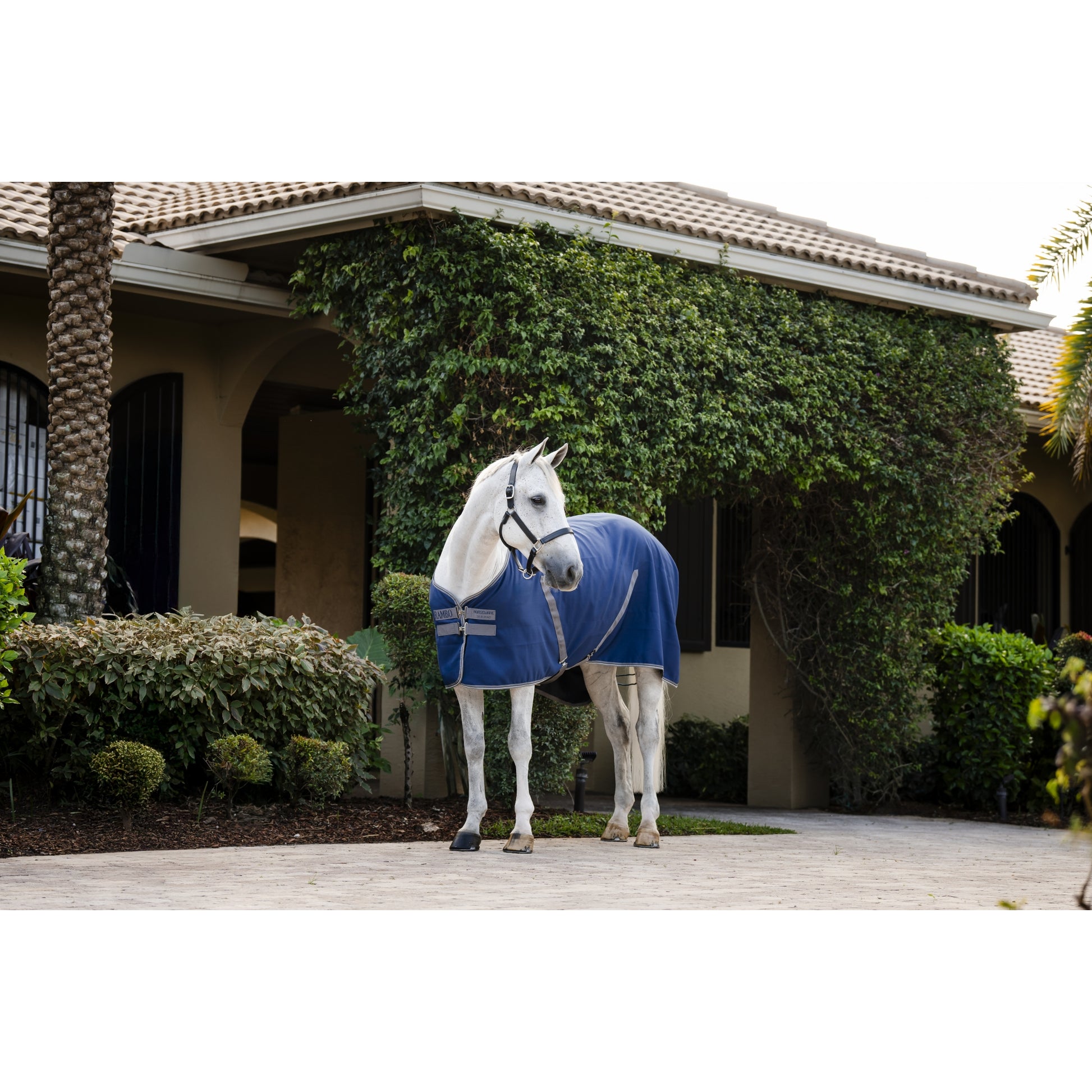 Rambo Stable Sheet with Microfiber Lining (0g Light)