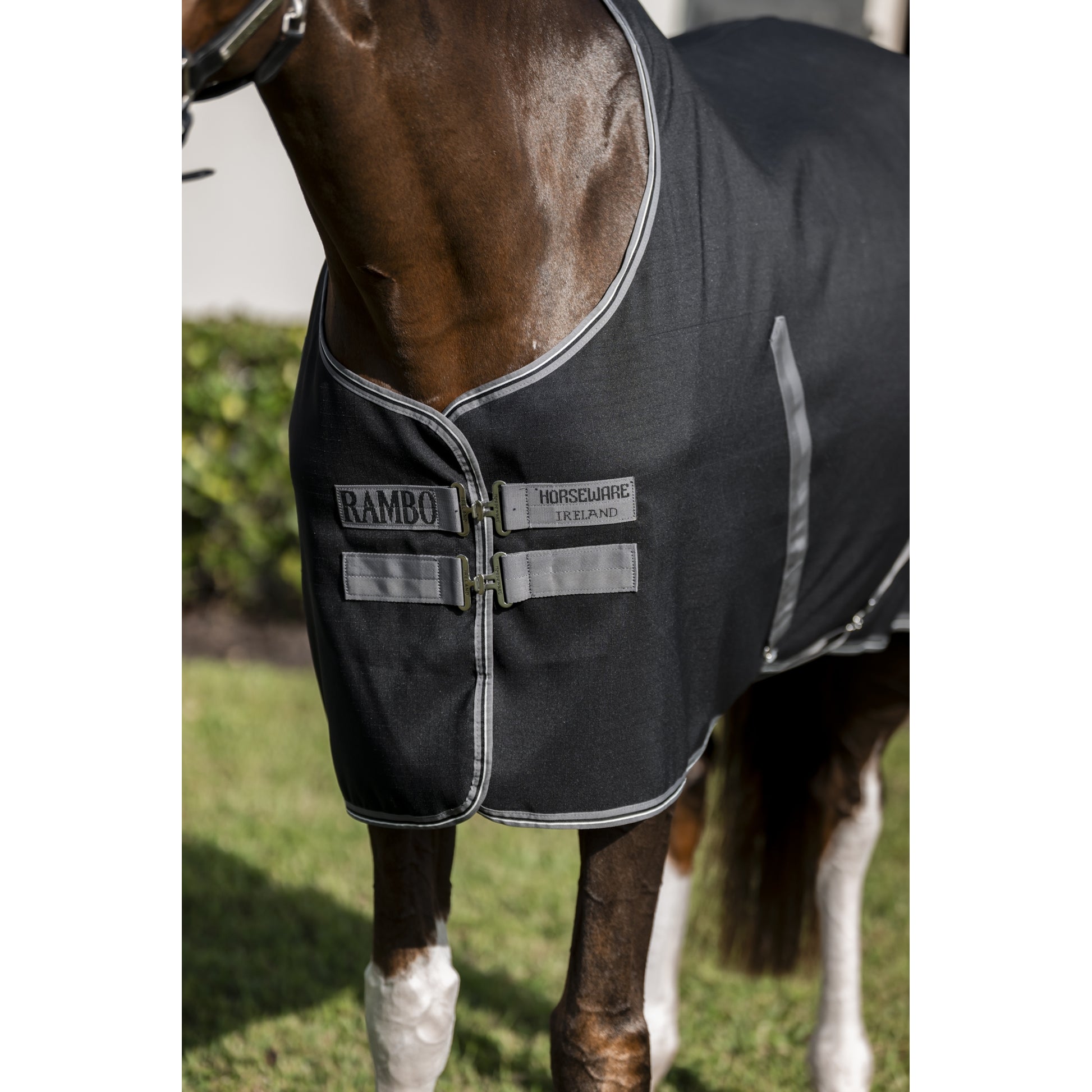 Rambo Stable Sheet with Microfiber Lining (0g Light)