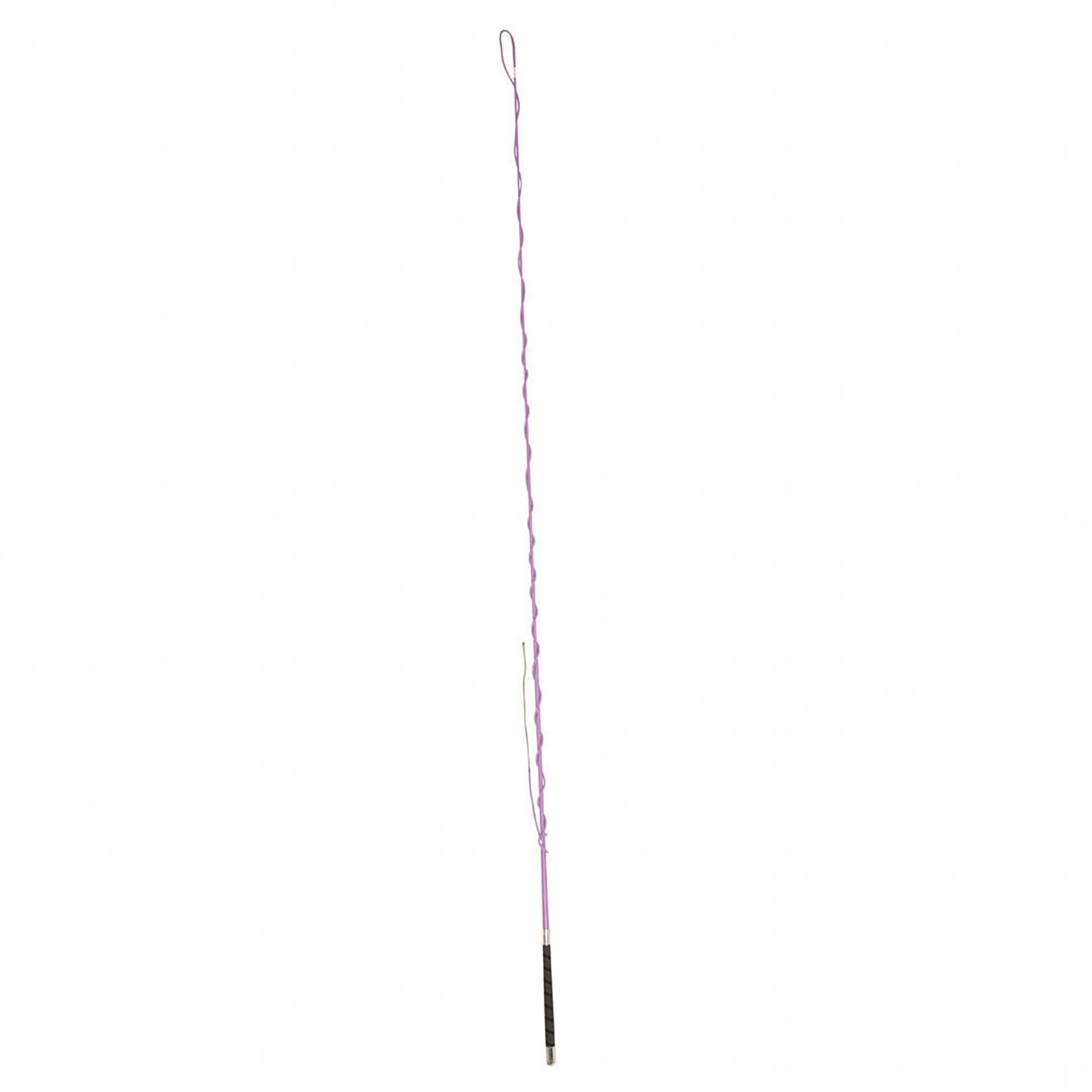Dublin Lunge Whip with Grip Handle