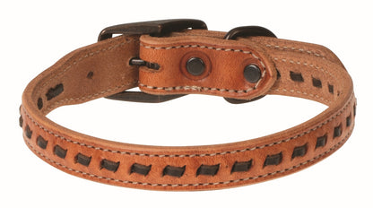 Weaver Buckstitch Dog Collar