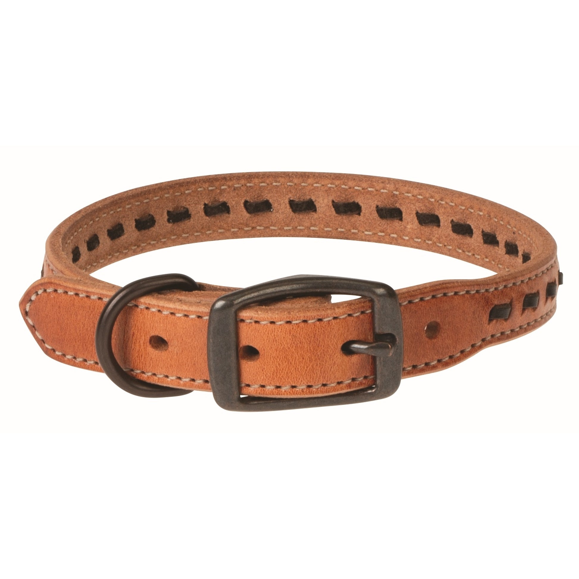 Weaver Buckstitch Dog Collar