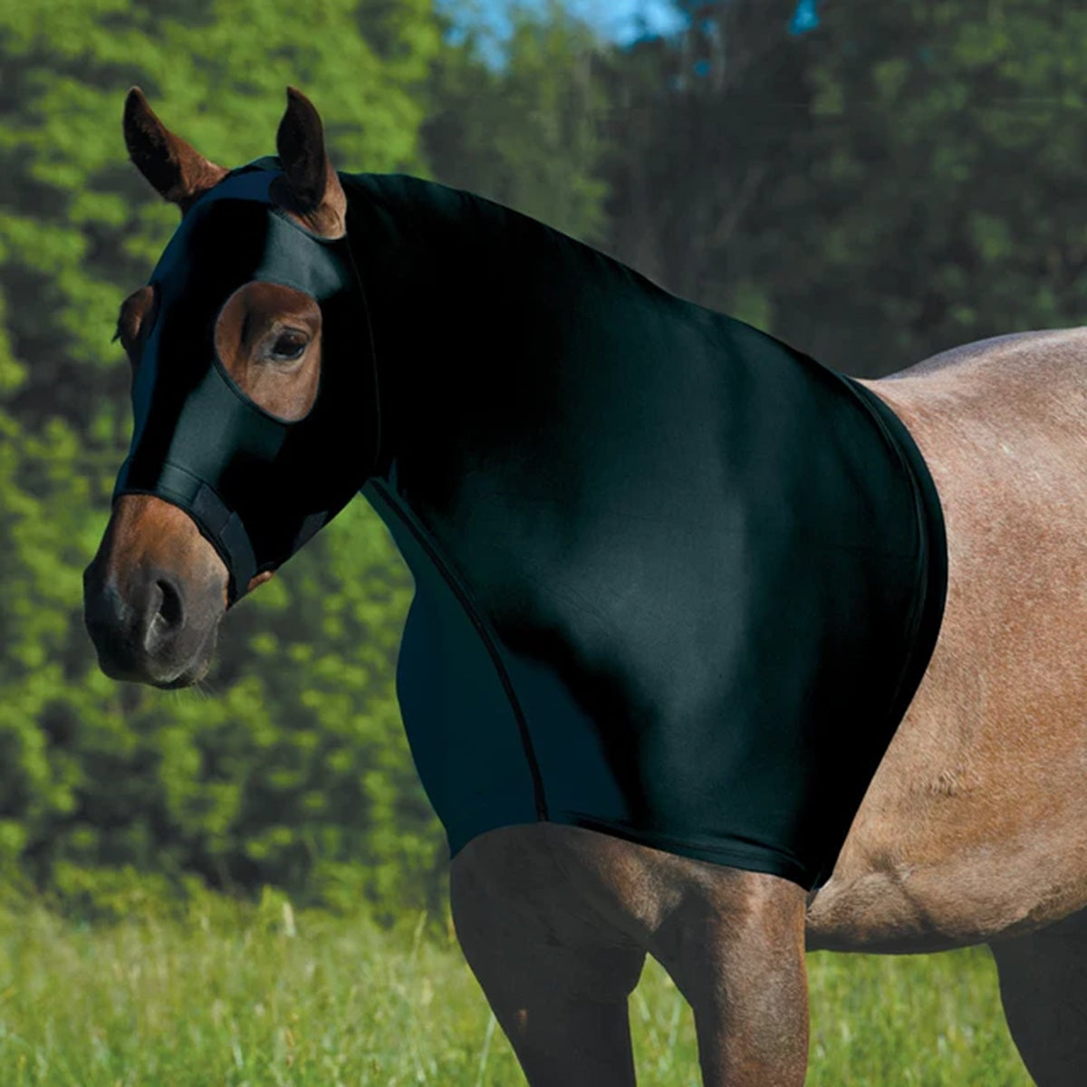 Equine Lycra Hood Powered by Coolcore