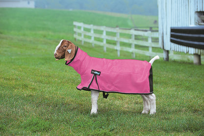 Weaver ProCool Goat Blanket with Reflective Piping