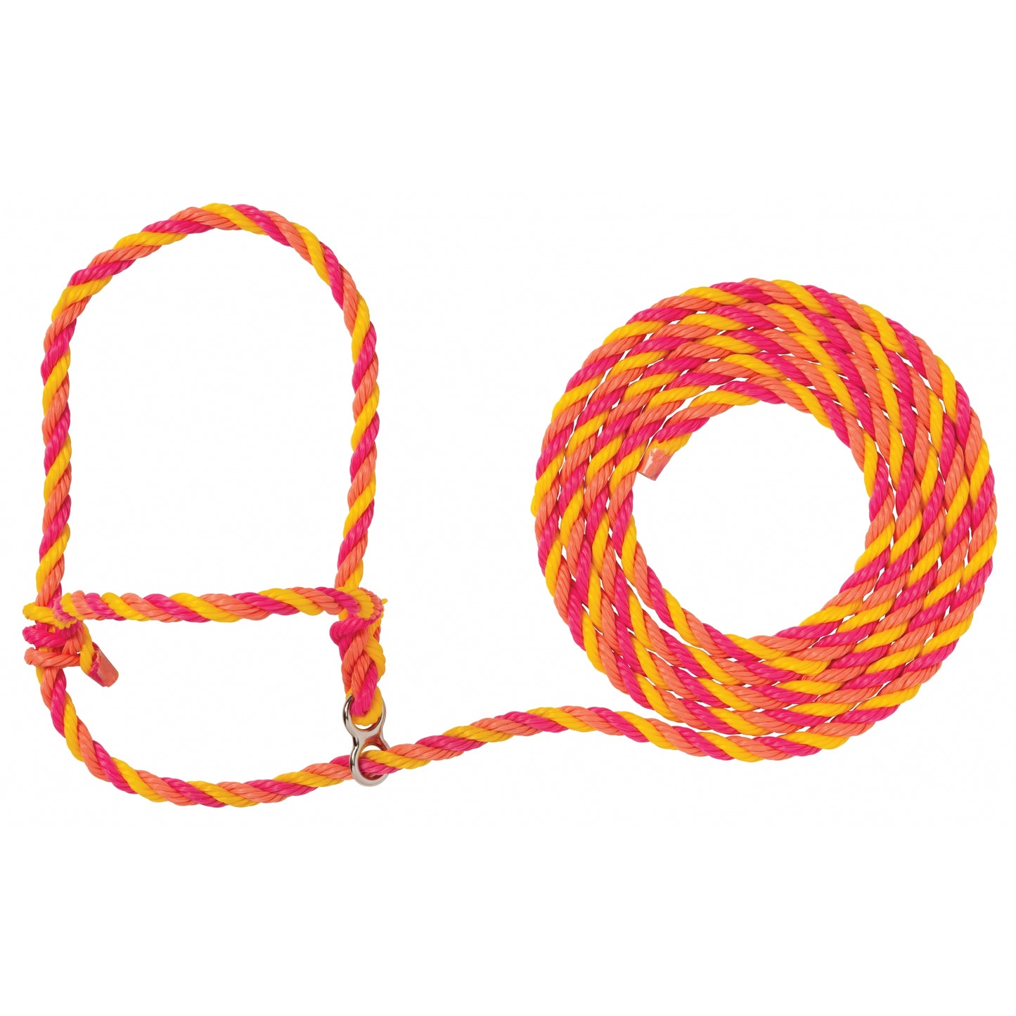 4-515825.jpg