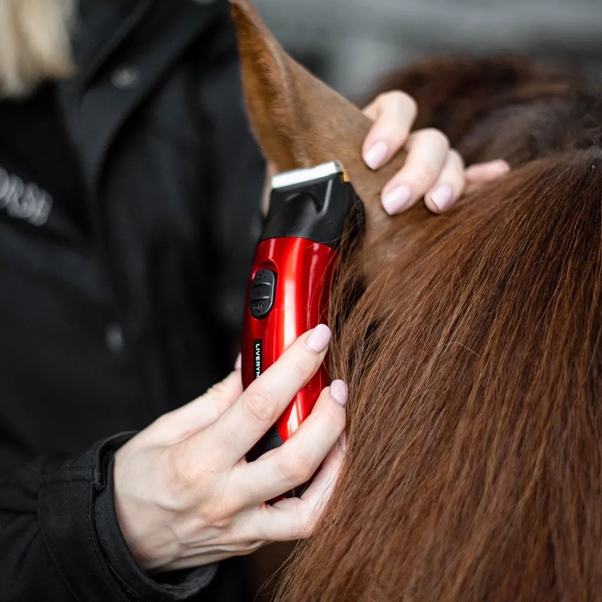 Liveryman Classic Professional Horse Trimmer