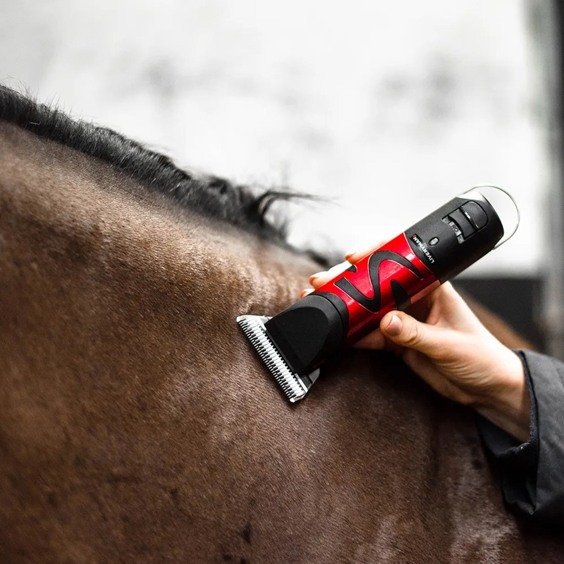 Liveryman Harmony Plus Professional Horse Clipper