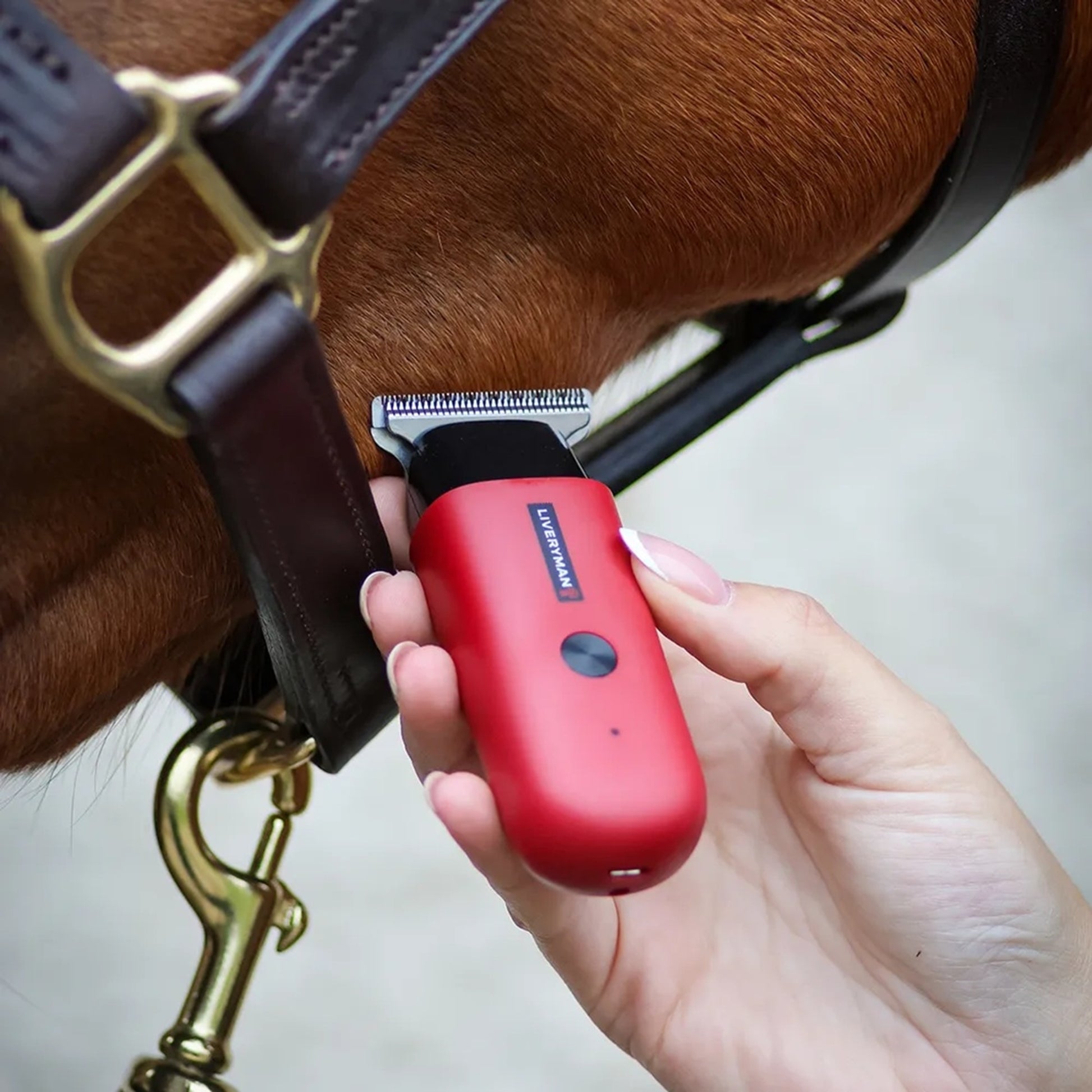 Liveryman Robin Professional Horse Trimmer