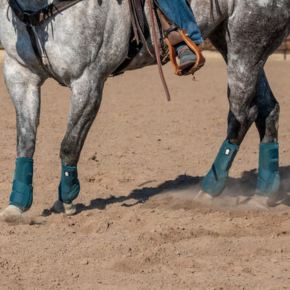 Classic Equine Flexion Hind Boots