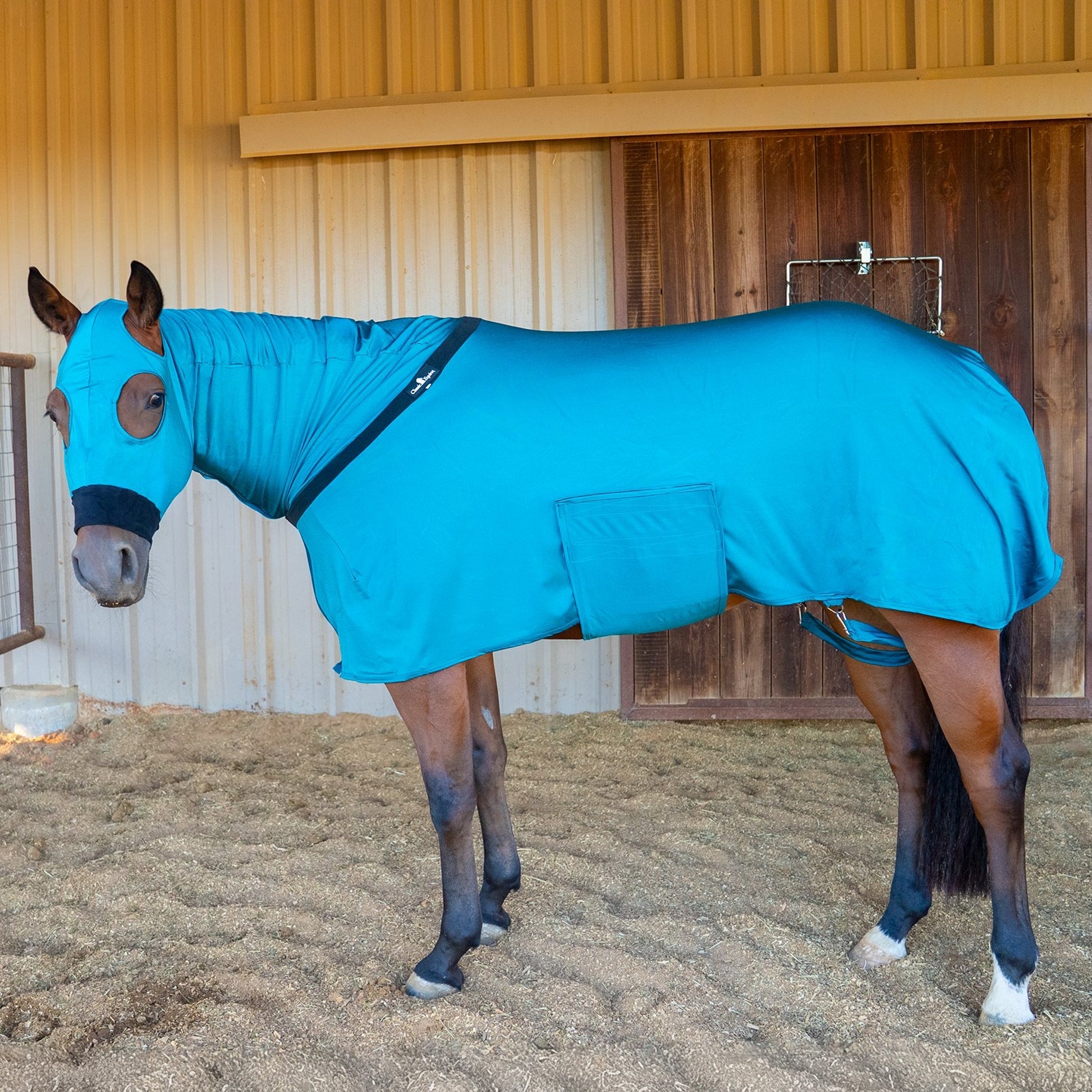 Classic Equine Full-Body Slinky