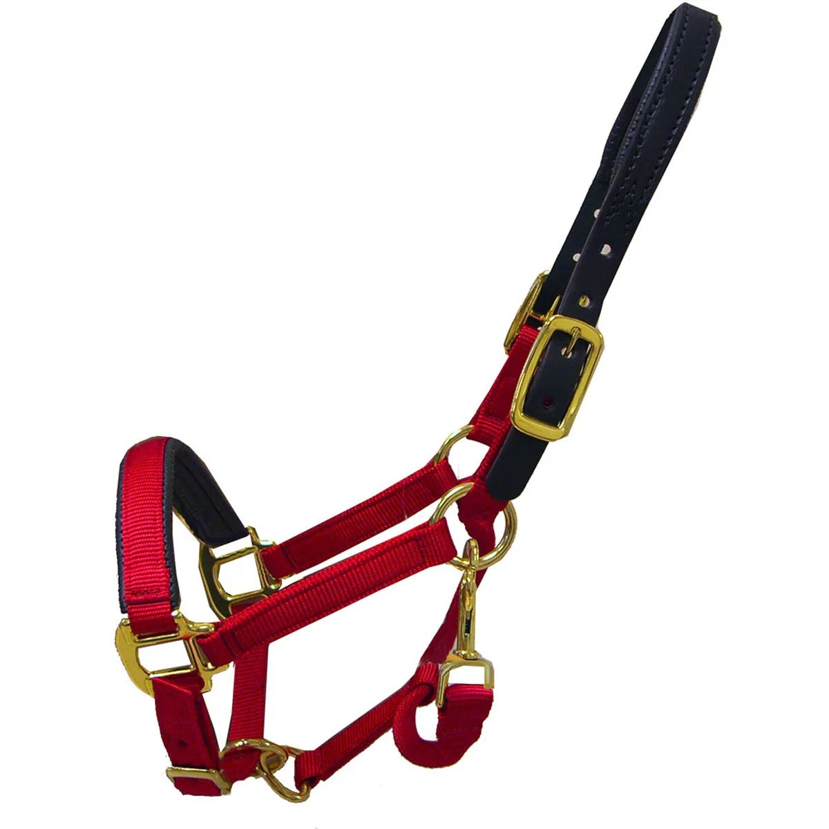 Chafeless Breakaway Halter