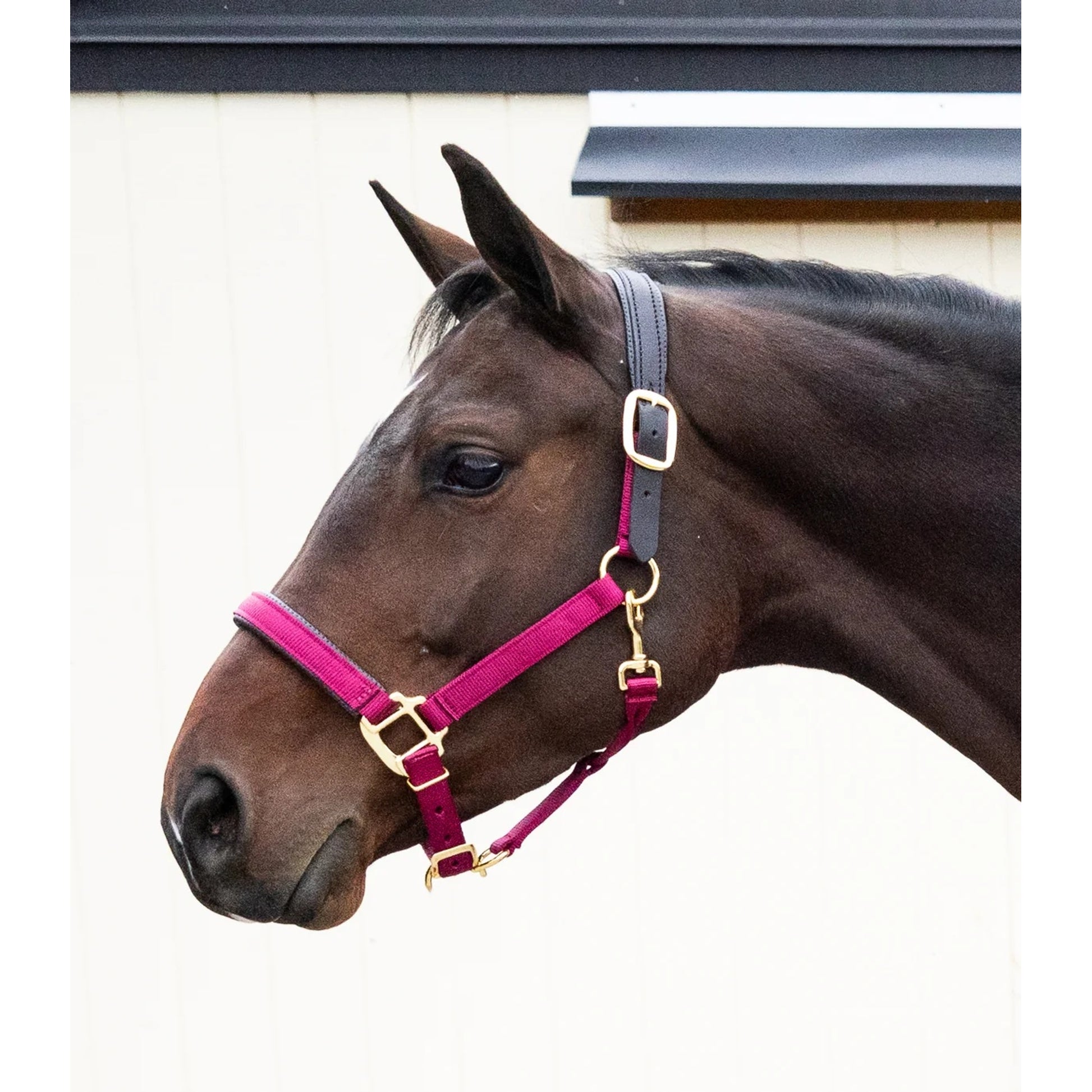 Chafeless Breakaway Halter