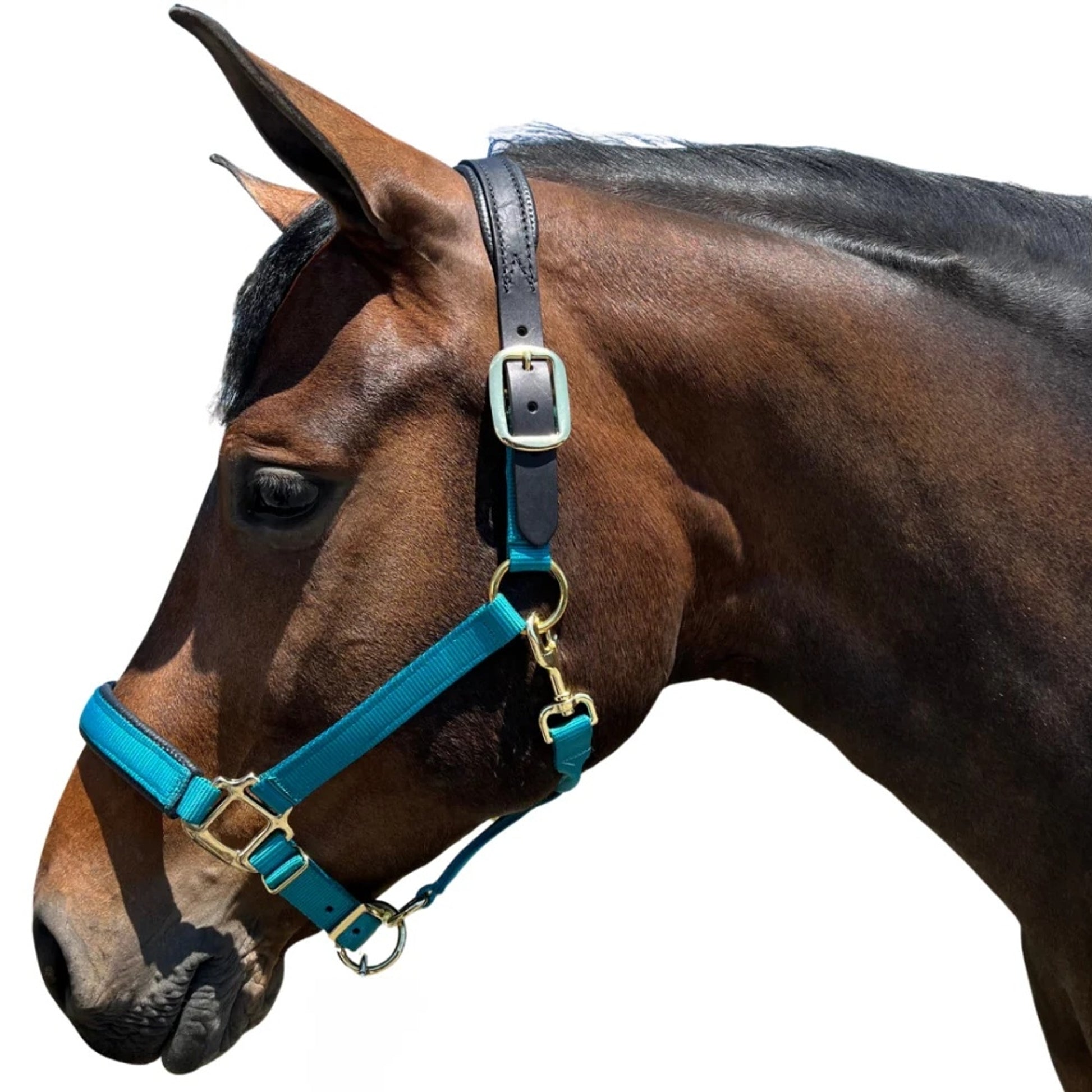 Chafeless Breakaway Halter