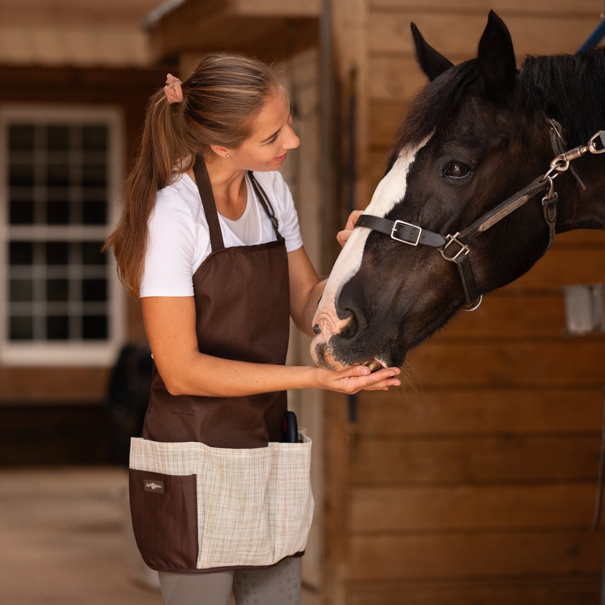 Kensington Grooming Apron Blue Ice Plaid