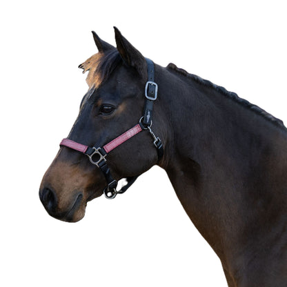 Kensington Reflective Nylon Halter