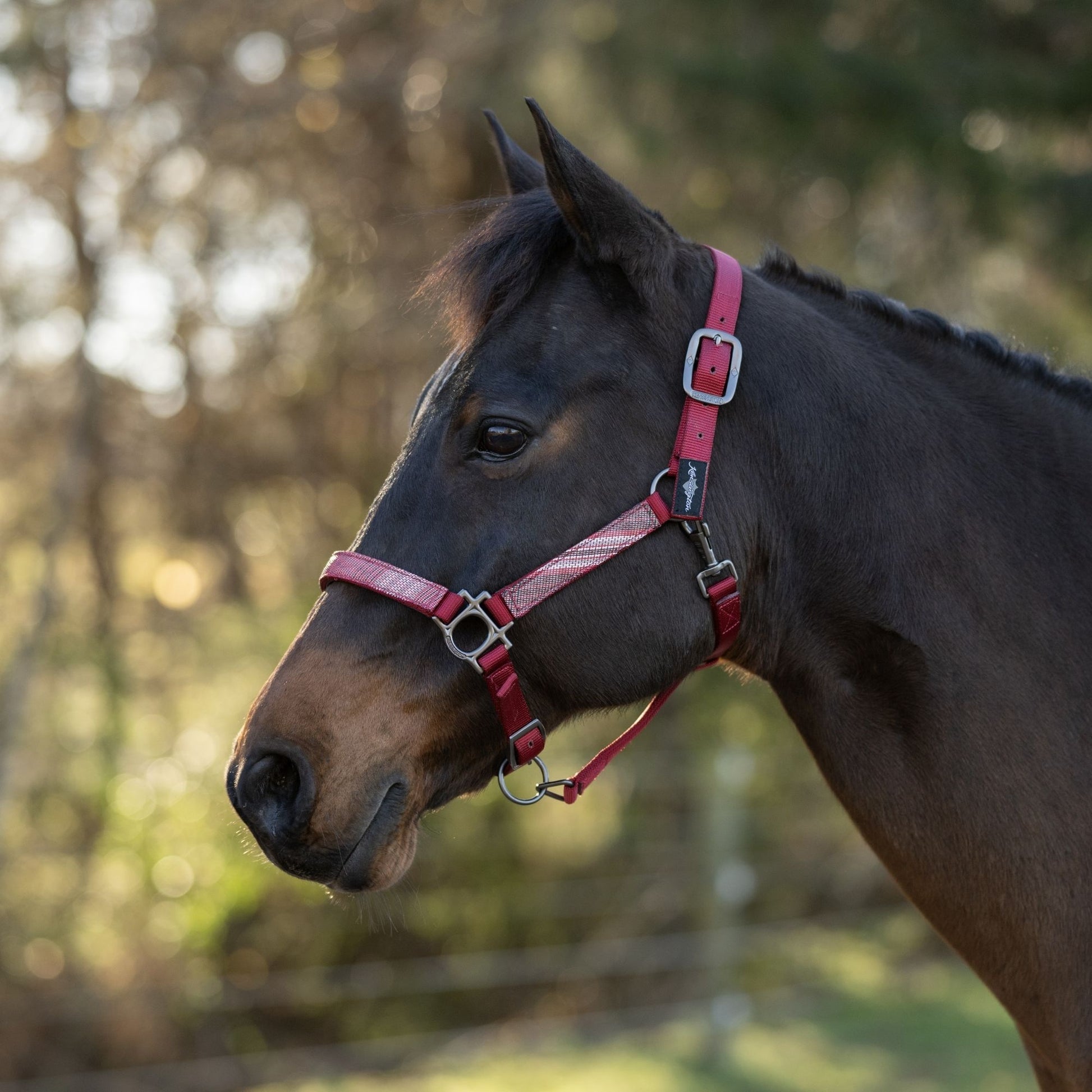 Kensington Reflective Nylon Halter