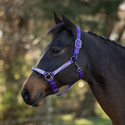 Kensington Halter NB