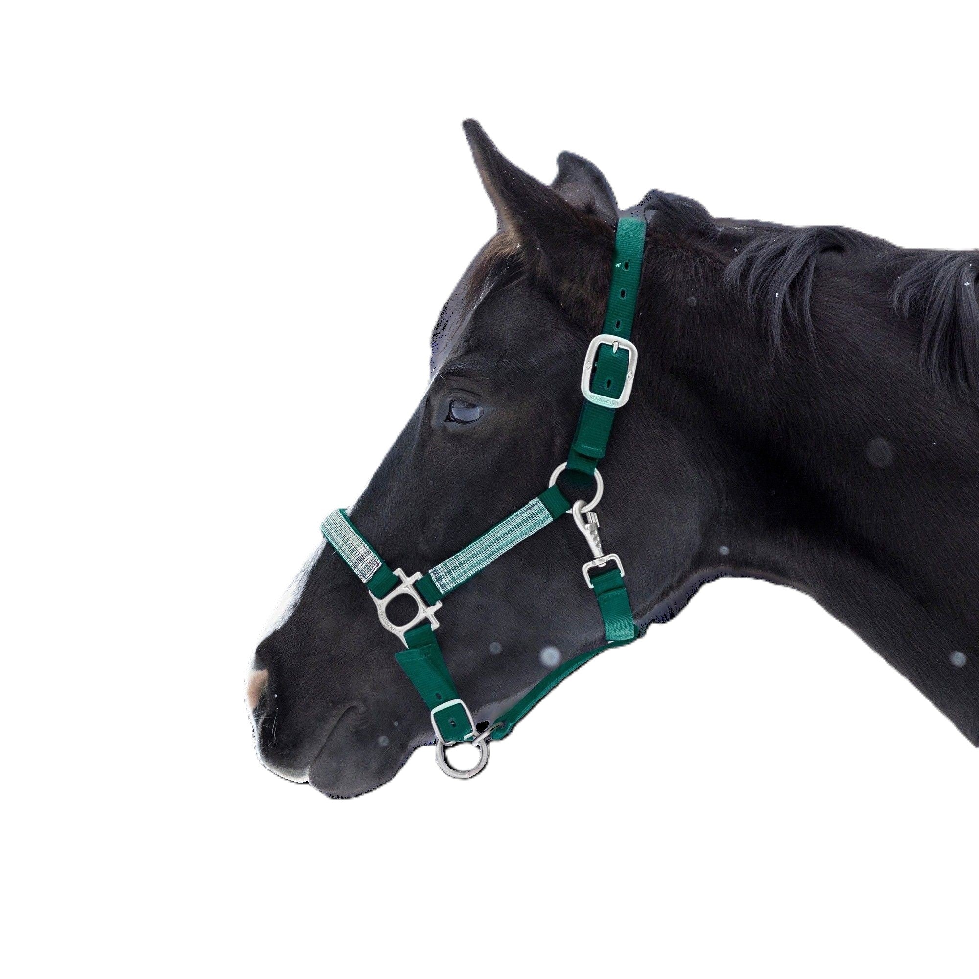 Kensington Halter NB