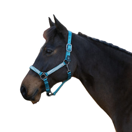 Kensington Halter NB