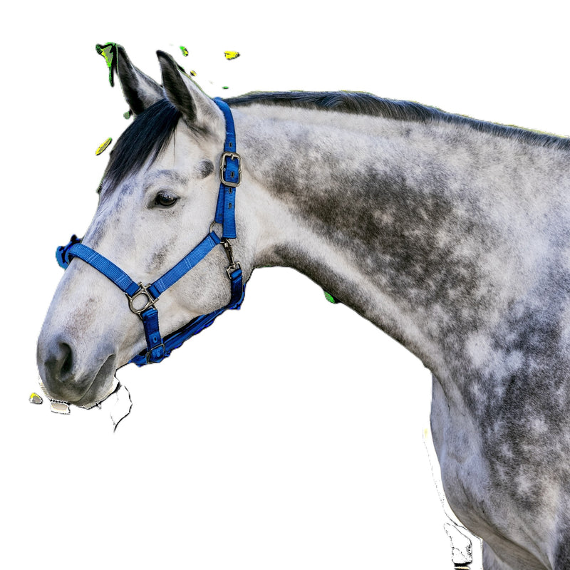Kensington Reflective Nylon Halter
