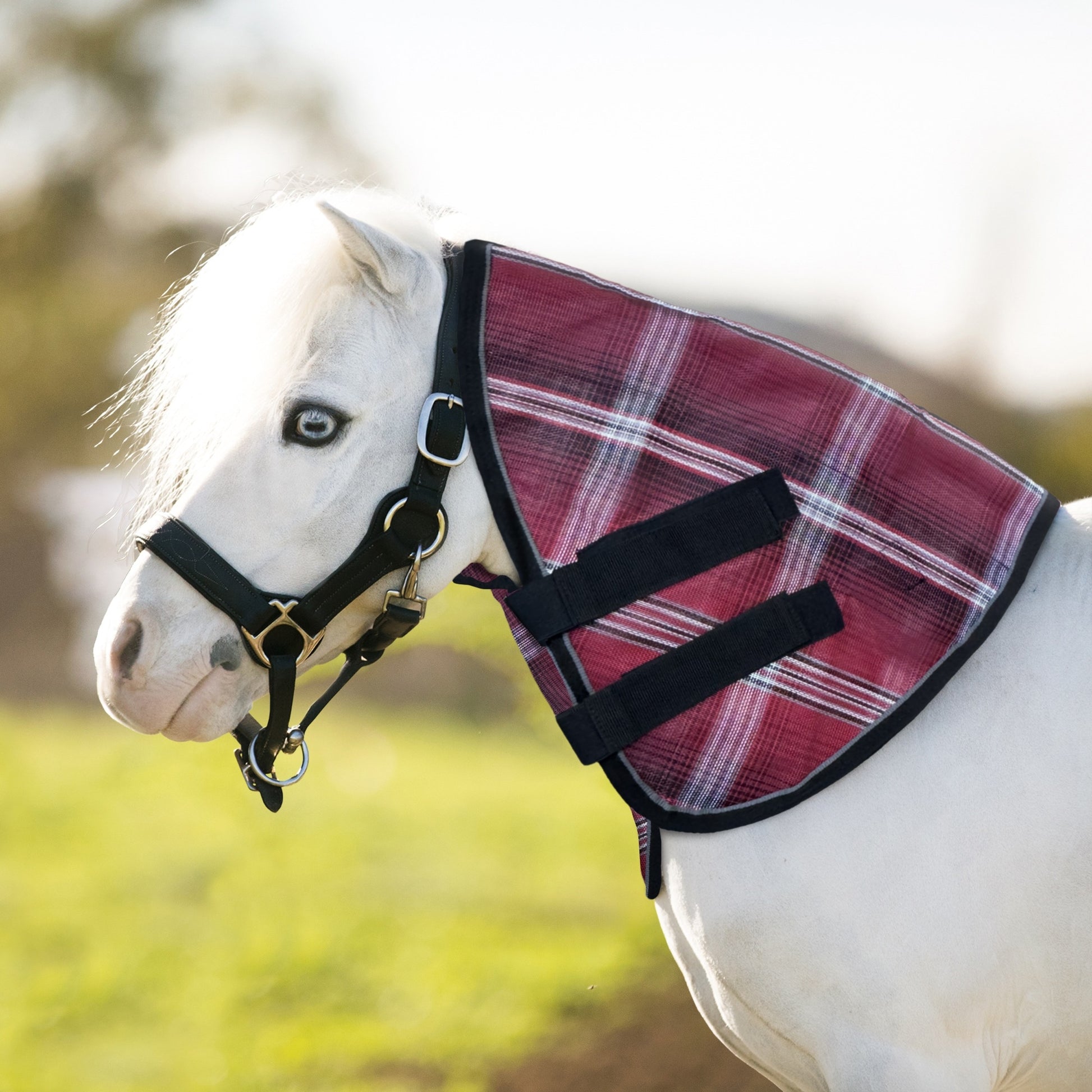 Kensington Mini Protective Neck Cover