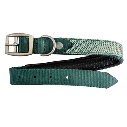 Kensington Nylon Dog Collar with Padding