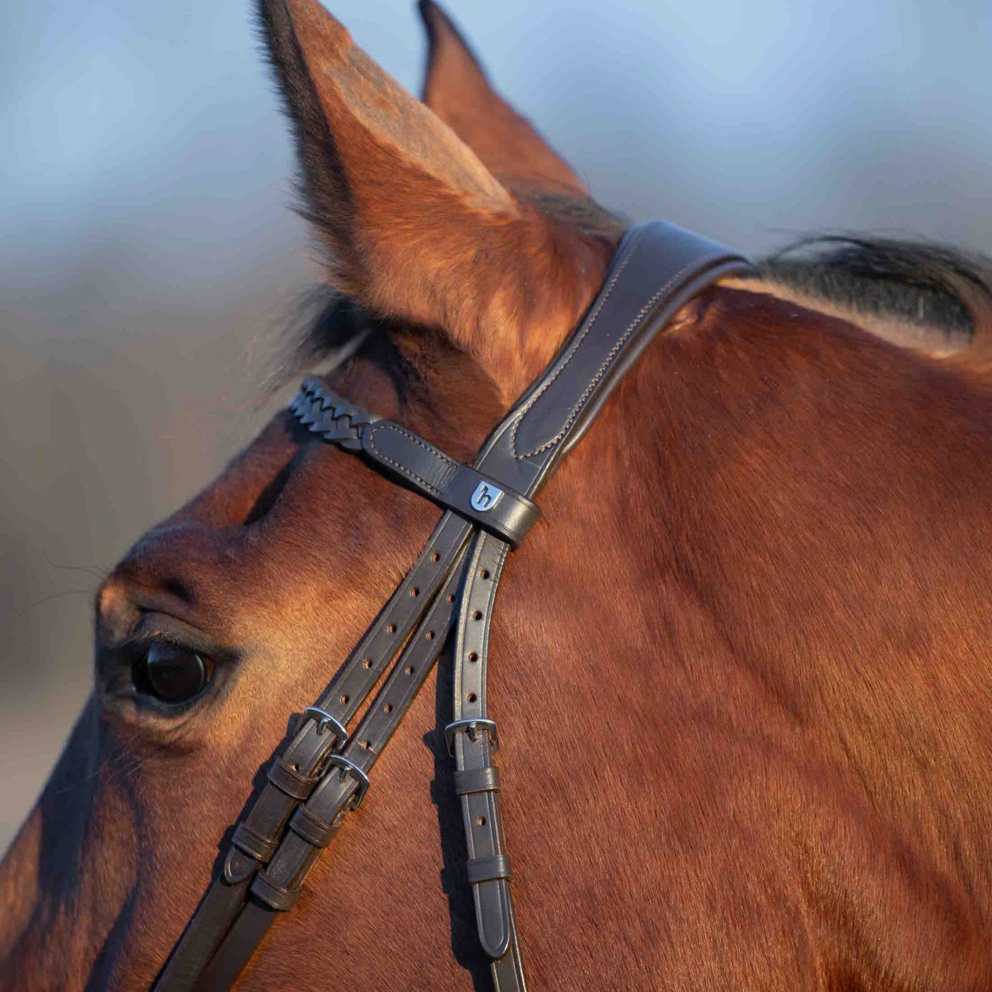 Horze Beaufort Flash Bridle