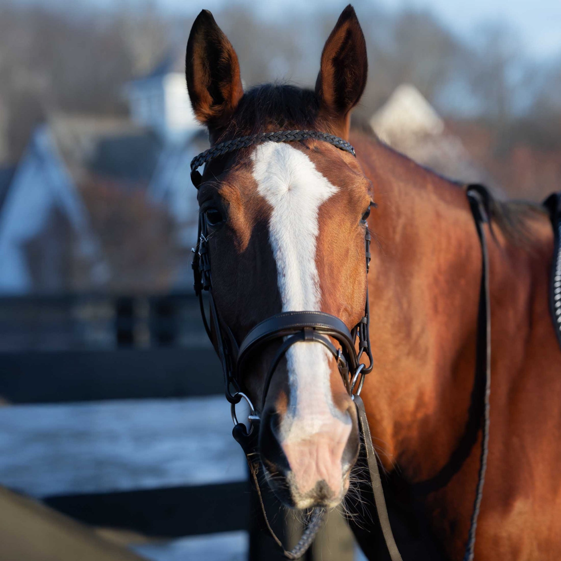 Horze Beaufort Flash Bridle