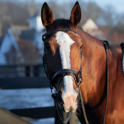 Horze Beaufort Flash Bridle