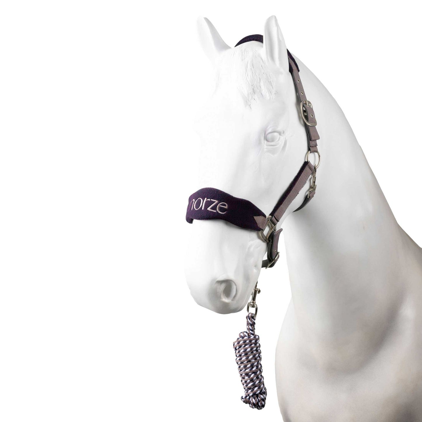 4-528862.jpg