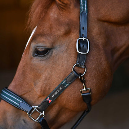 B Vertigo Lennox Leather Halter