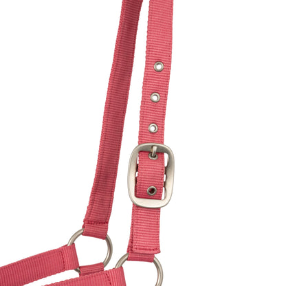 Horze Rose Tonique Halter