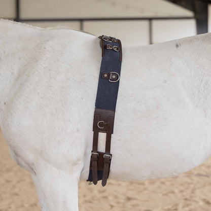 Equinavia Saga Lunge Surcingle