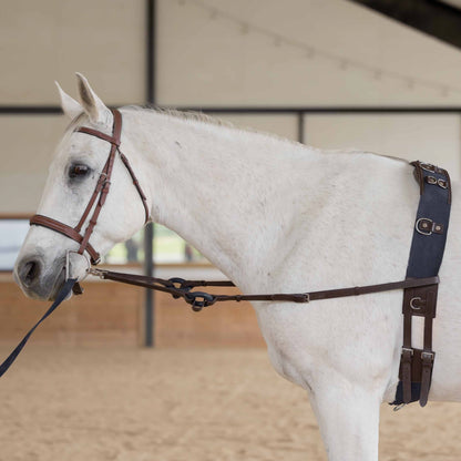 Equinavia Saga Lunge Surcingle