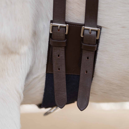 Equinavia Saga Lunge Surcingle