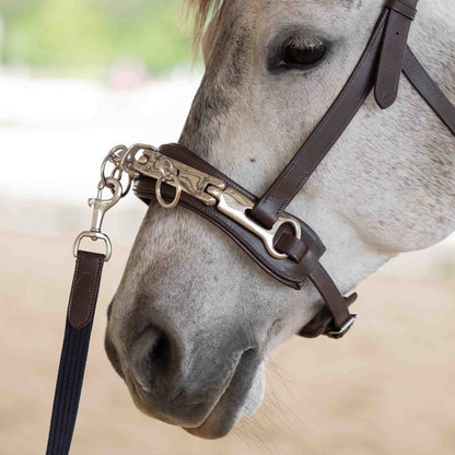 Equinavia Saga Lunge Cavesson