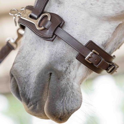 Equinavia Saga Lunge Cavesson