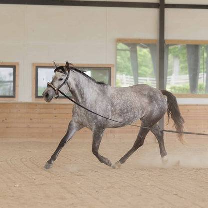 Equinavia Saga Lunge Cavesson
