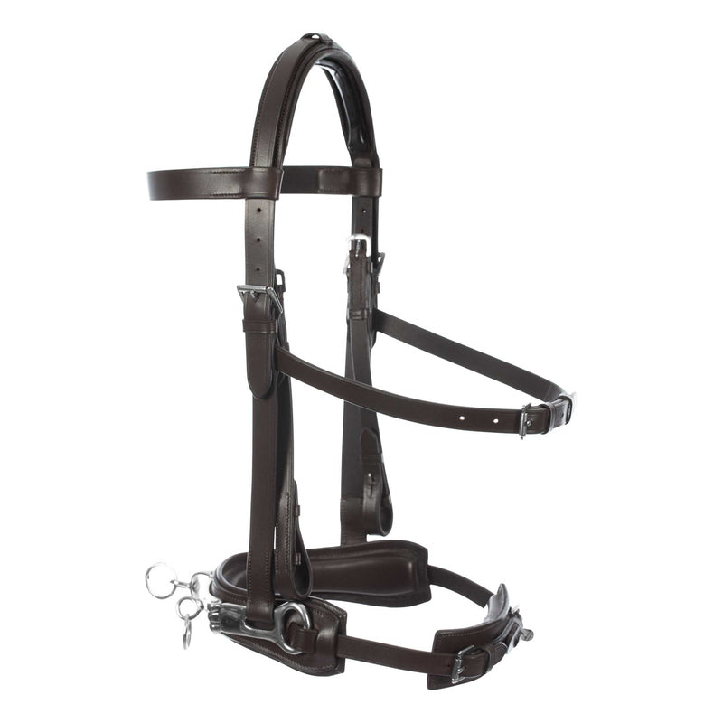 Equinavia Saga Lunge Cavesson