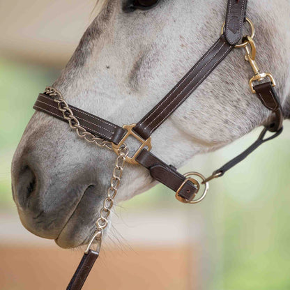 Equinavia Saga 35 Feet Lunge Line with Chain