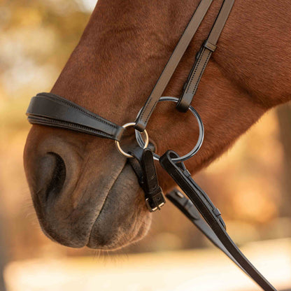 Equinavia Saga Drop Noseband Bridle with Web Rubber Reins