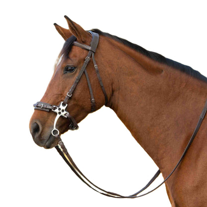 Equinavia Saga Hackamore Bridle with Rubber Reins