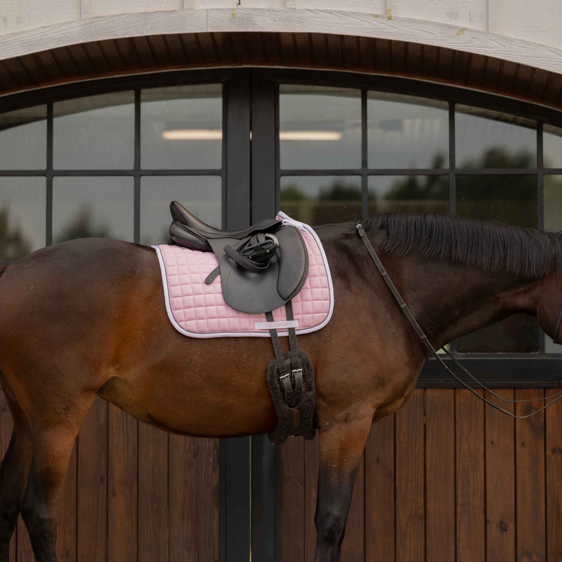 Equinavia Svalbard NordicAir Dressage Saddle Pad