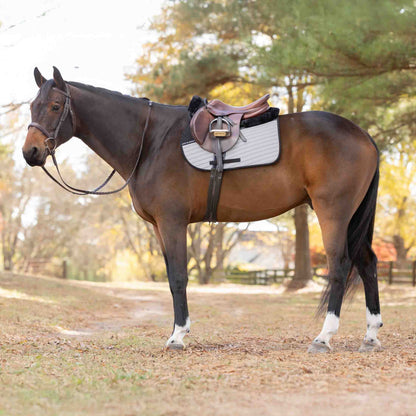 Equinavia Alta Reflective All Purpose Saddle Pad